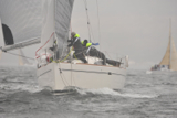 animal gbr1952l kip 13 130511 4835